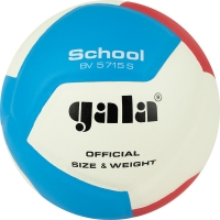 Мяч для волейбола Gala School 12 White/Red/Blue BV5715S