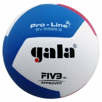 Мяч для волейбола Gala Pro-Line 12 FIVB White/Blue/Red BV5595S